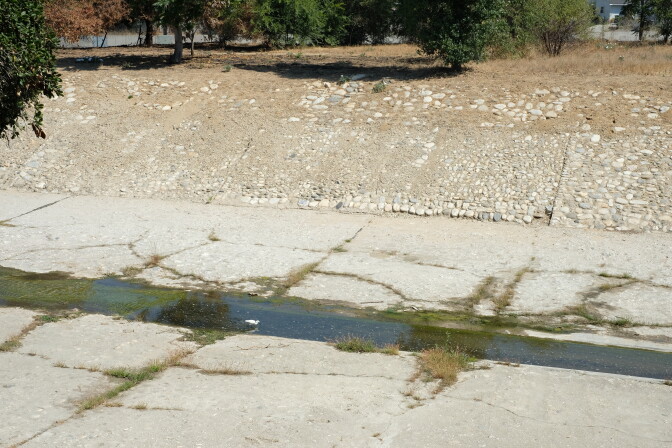 A snowy egret fishes in a small stream in a concrete channel under the sun. 