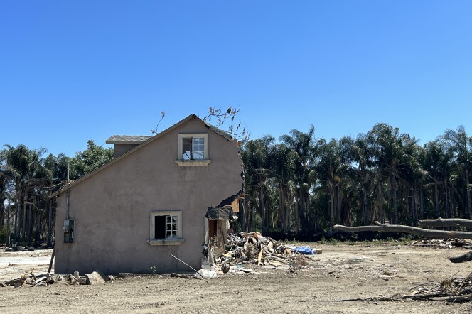 A half-demolished offwhite house in a large dirt lot. The sky is clear blue and a forest of tall palm trees is behind the house. 