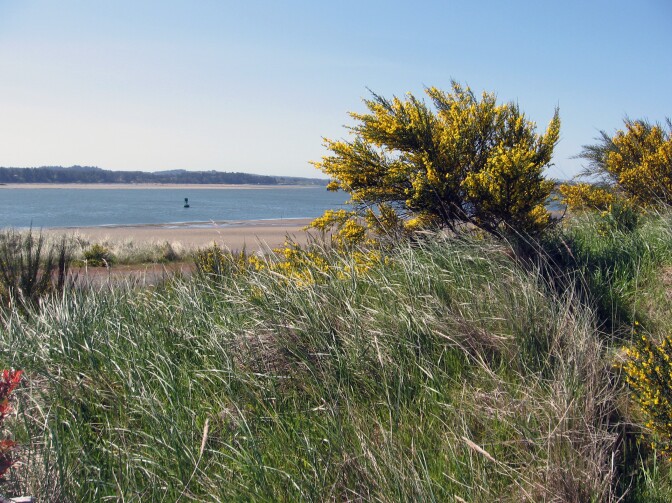 The site of the proposed Jordan Cove Energy liquefied natural gas export facility near Coos Bay, Ore. Proponents say it would boost the local economy, but others worry it will affect recreation.
