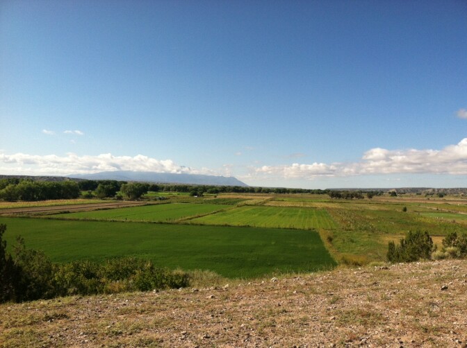 The new irrigation system helps the Santo Domingo Pueblo's water supply go farther. More than 300 acres of farmland that used to lay fallow is now supporting a variety of crops.
