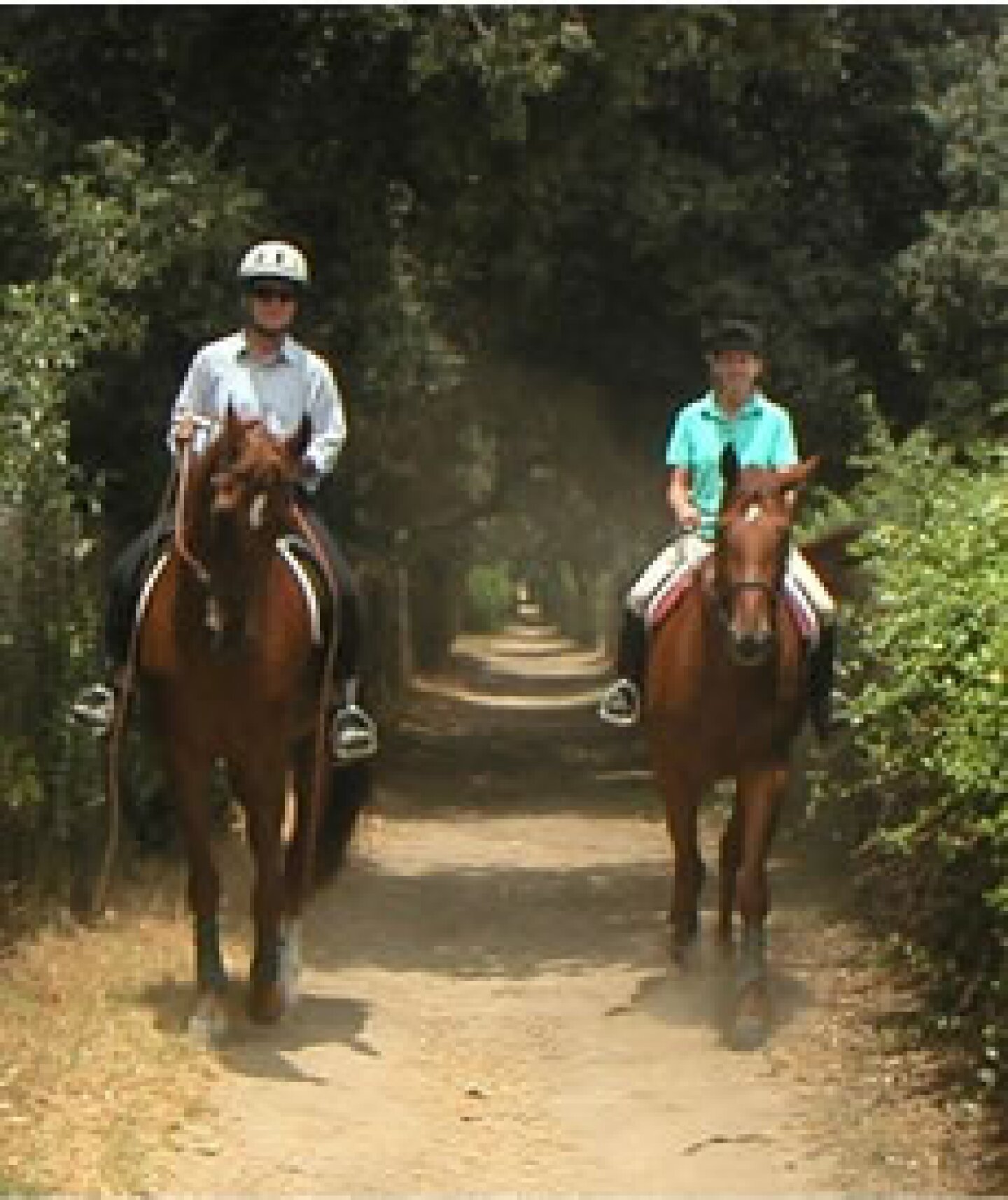 trails-2horses.jpg