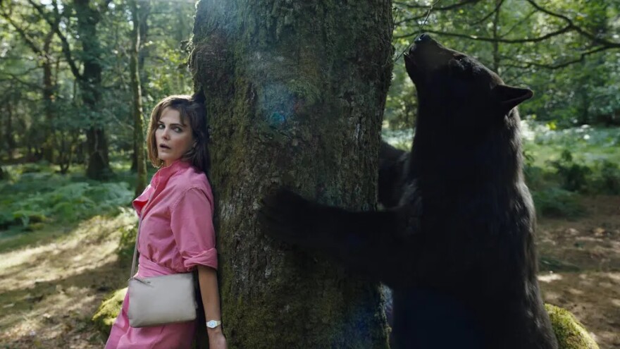 Keri Russell stands with her back against a large tree in a forest. She wears a bright pink shirt dress with a  white sling bag. Russell looks out the corners of her eyes, trying to see the other side of the tree without moving. She seems to be hiding. trying to stay as still as possible. On the other side of the tree is a large black bear sniffing the branches. It has its paws up against both sides of the tree, bracing itself on its two legs. 