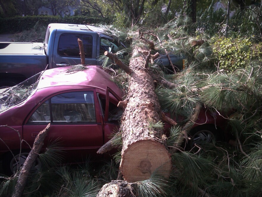 Fallen tree crushes two cars at the Providence Christian College