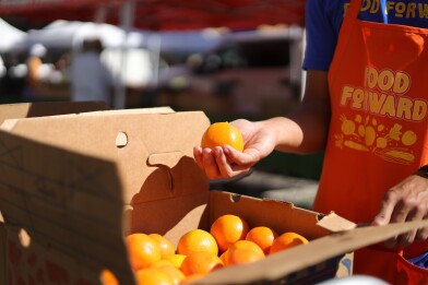 A close up of an open cardboard box full of bright orange tangerines. A man with a medium skin tone is holding up one of the tangerines in his hand. He's wearing a bright orange appron that says Food Forward.