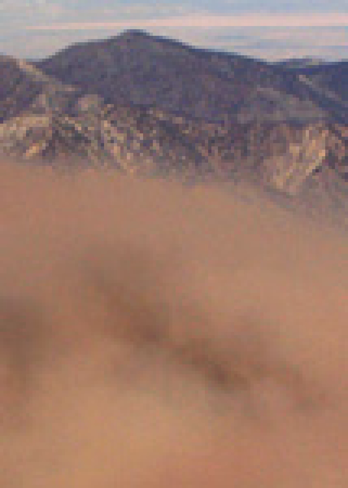 5b2c5d124488b3000928169b-original.jpg