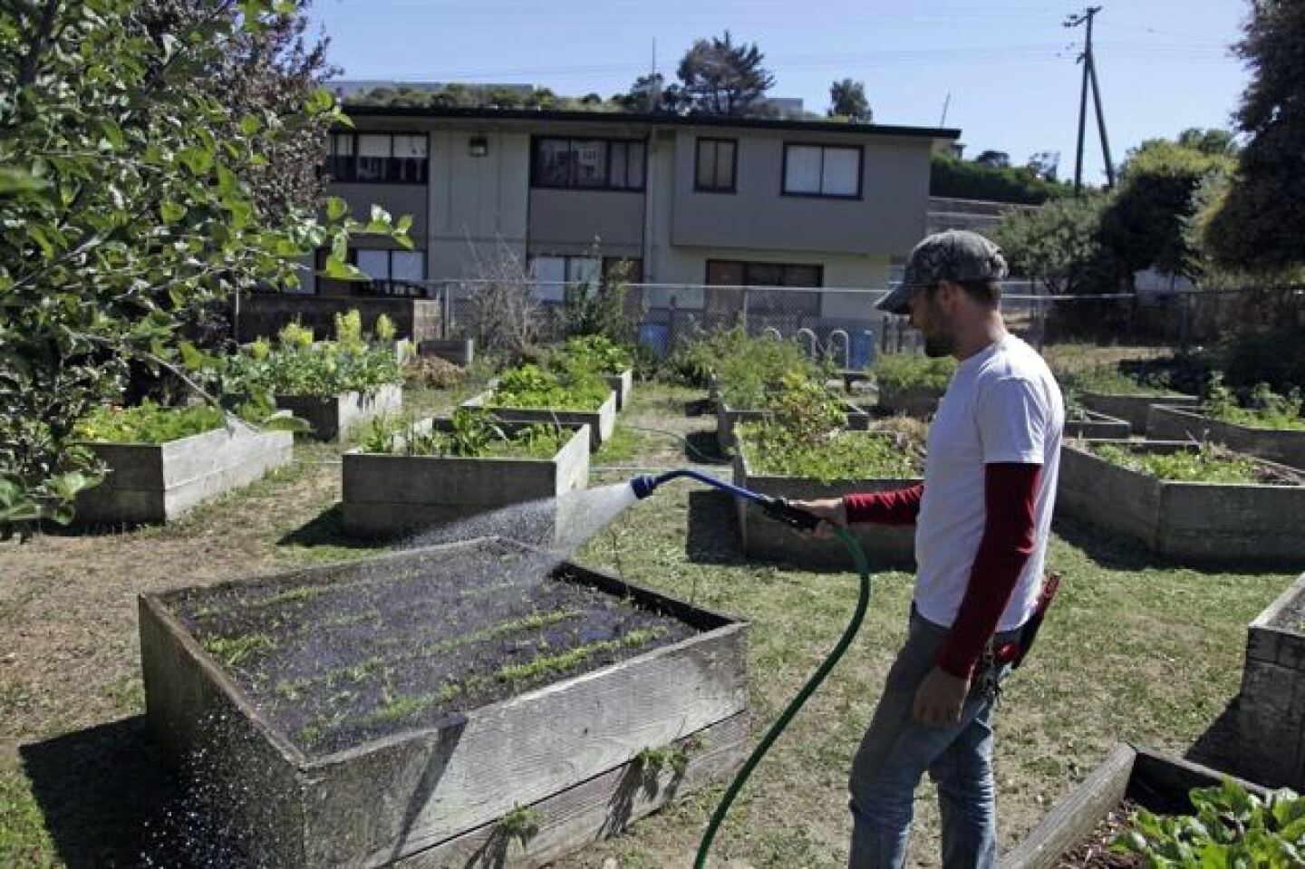 urbanfarmstrend.jpg