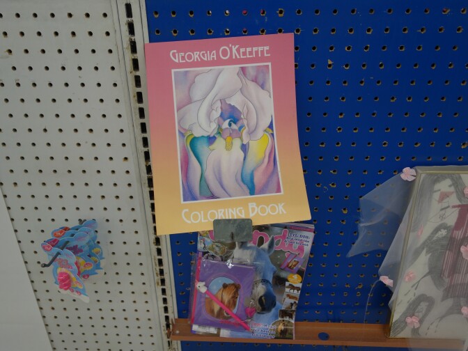 A photo of a book on a shelf with the words "Georgia O'Keeffe Coloring Book" on the cover.