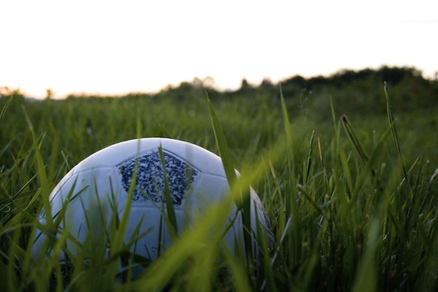 world-cup-los-angeles-bid.jpg