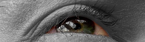 5b2bfdc84488b3000926da66-original.jpg
