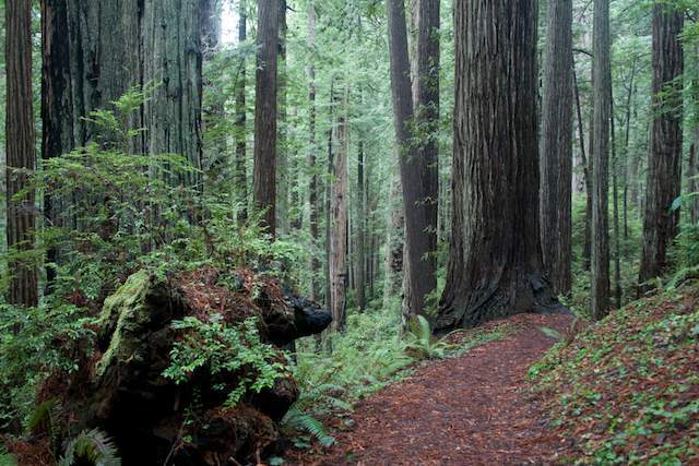 state-parks-offshore-drilling.jpg