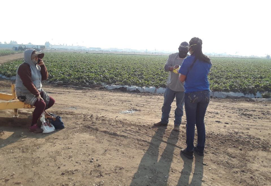 A volunteer with the advocacy group Central Coast Alliance United for a Sustainable Economy speaks with farm workers in a field near Oxnard in Ventura County last week while distributing face masks. Farm worker advocates say some field hands worked without protective masks despite the ash and smoke from the Thomas Fire.