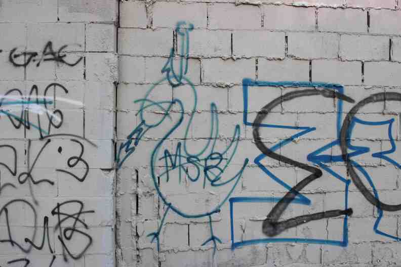 Graffiti in South Los Angeles is so commonplace that it's become part of the landscape, in large part due to the area's heavy gang presence. Above, a tag by the East Coast Crips threatens the Swans, a Blood gang. 