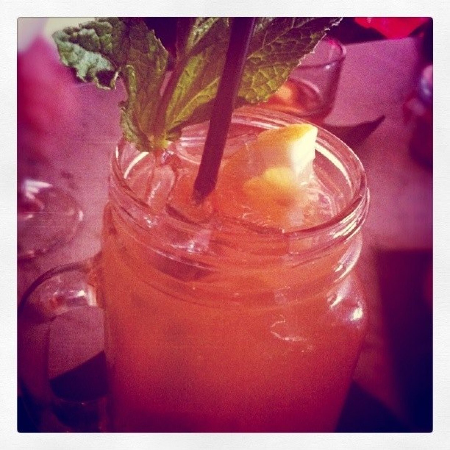 thirsty-crow-drink-2011.jpg