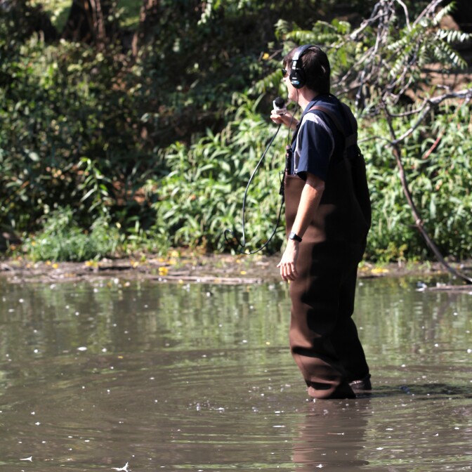 John Rabe recording an Off-Ramp segment in Baldwin Lake at the LA County Arboretum & Botanic Garden in Arcadia. August 23, 2016.