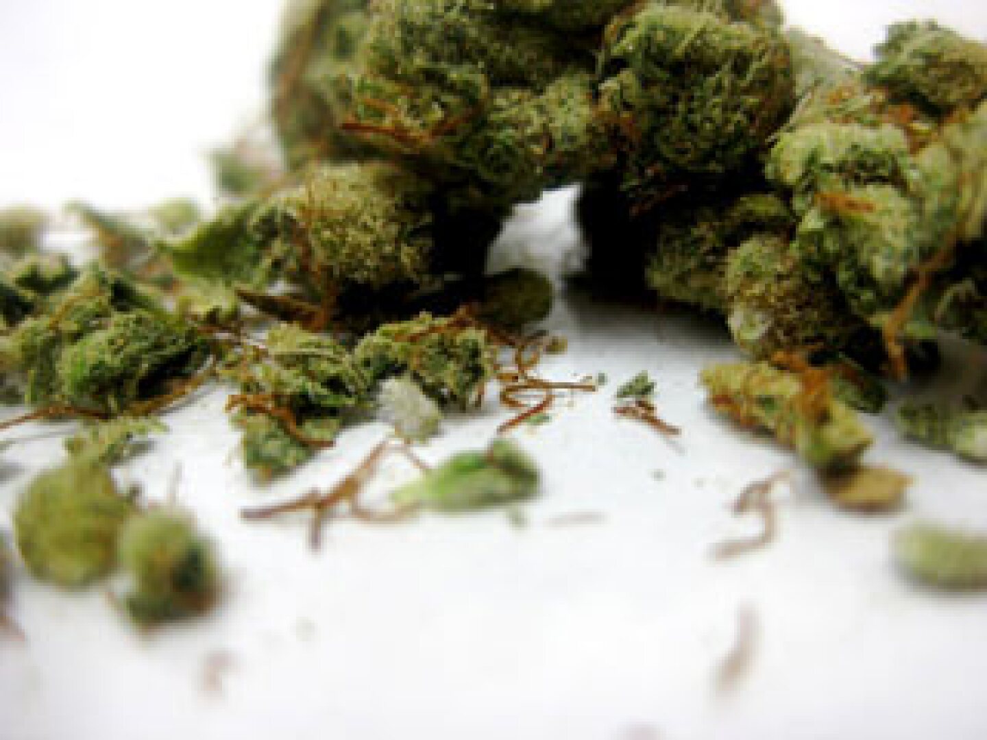 marijuana-bud.jpg