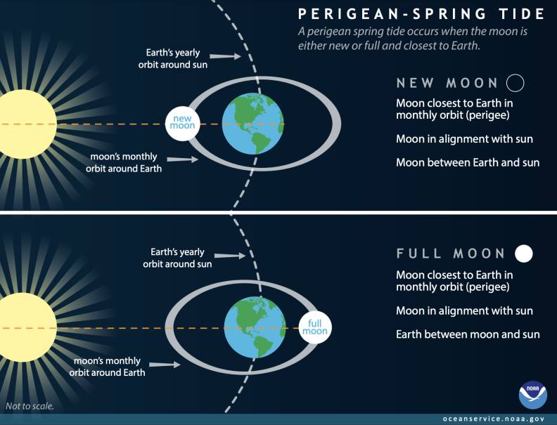 The sun is shown at the far left in stacked images. The top showing a new moon between earth and the sun in alignment with the sun. The bottom image shows a full moon in alignment with the sun with the Earth between them.
