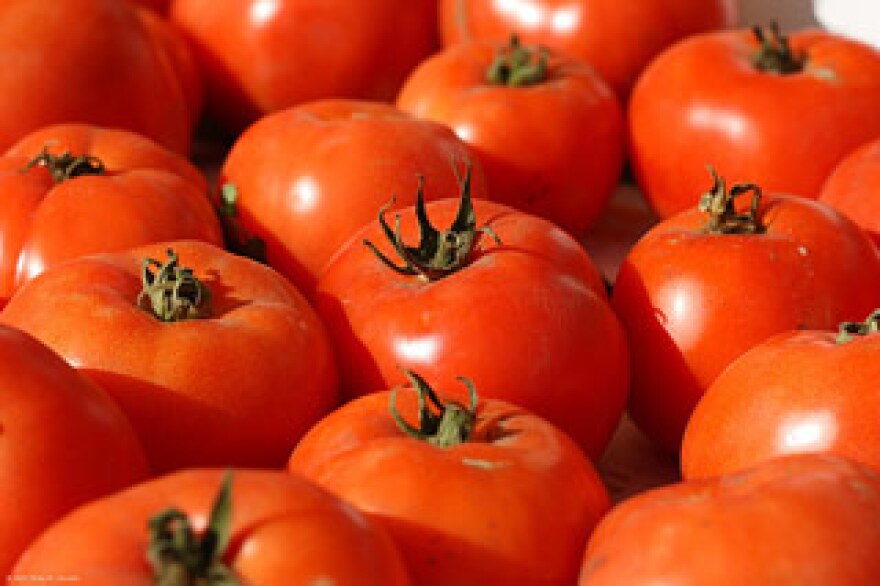smfm_tomatoes.jpg