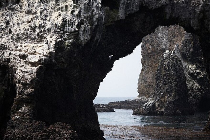 channelisland-natlpk.jpg