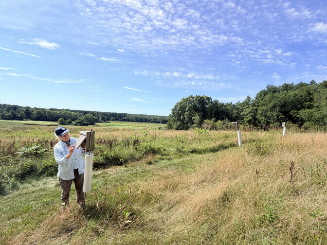 A person in a blue shirt, pants and a baseball cap stands at a post in a field of grass. Several trees are in the backgroud.