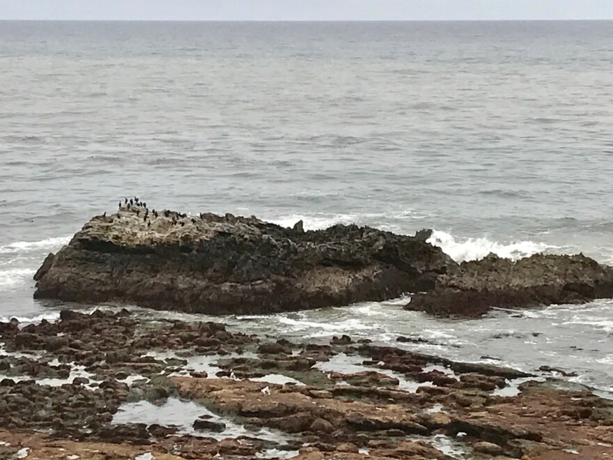 The rocky islands and tidal areas off the Orange County coast were included in the California Coastal National Monument thanks to an executive order from outgoing President Barack Obama. 