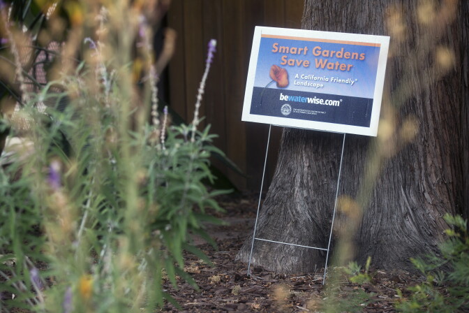 The turf outside this Pasadena home was transformed into a drought-friendly yard using the Metropolitan Water District's Cash for Grass program in October 2014. The $450 million water conservation program has now ran out of money.