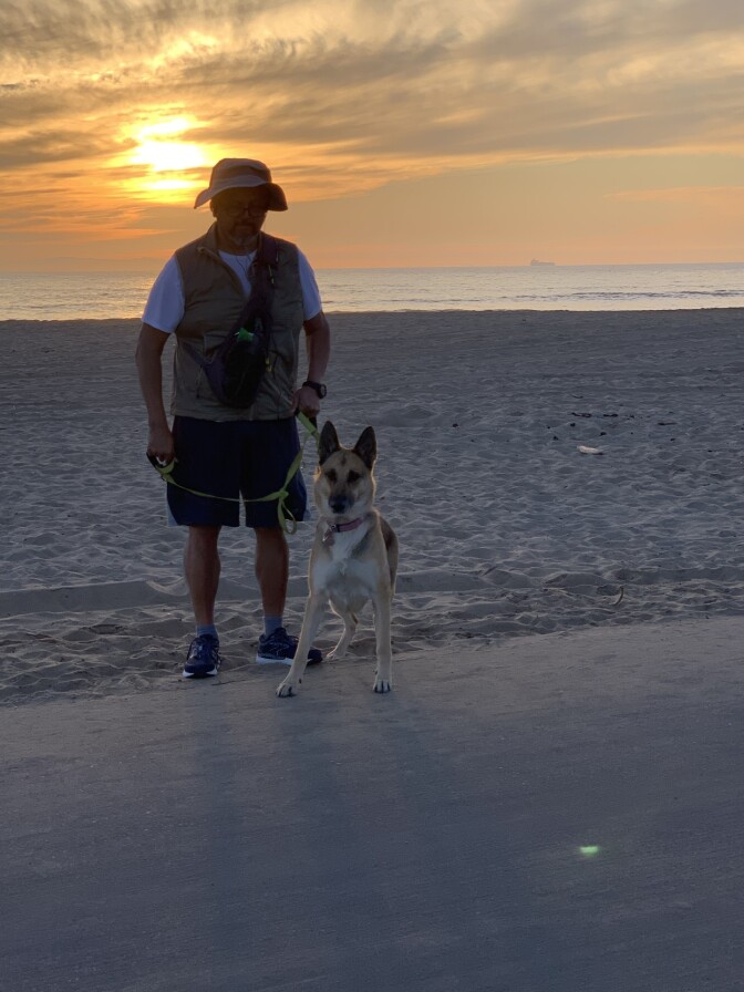 A person wearing shorts and a hat is standing on the edge of the sand with a dog. 