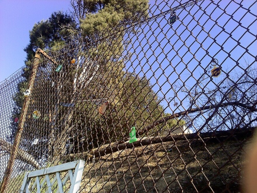 chain_link_fence.jpg