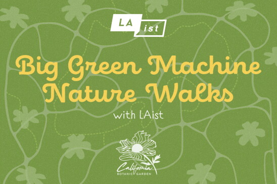 An event graphic featuring the title "Big Green Machine Nature Walks with LAist" in a stylized, yellow cursive font against a textured, light green background. The top of the image features the "LAist" logo, and the bottom displays the logo for the "California Botanic Garden" featuring an illustration of a native flower. The background includes faint outlines of leaves and scattered starburst motifs.
