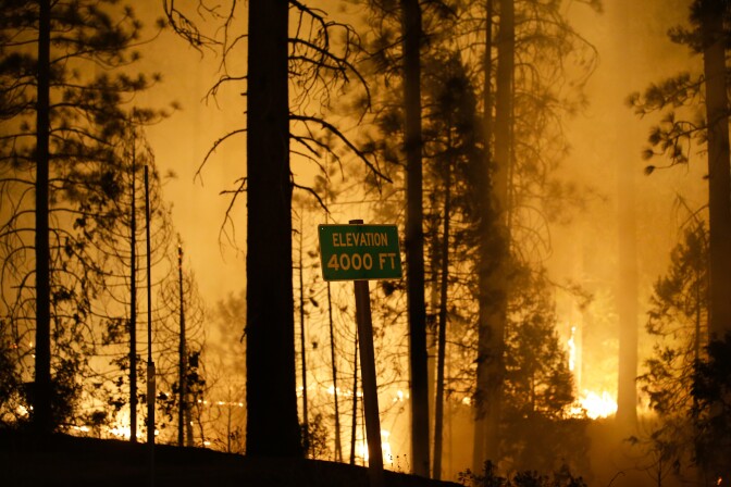 The Rim Fire burns near Yosemite National Park, Calif., on Saturday, Aug. 24, 2013. Fire crews are clearing brush and setting sprinklers to protect two groves of giant sequoias as a massive week-old wildfire rages along the remote northwest edge of Yosemite National Park. 