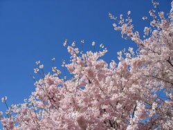 5b2bc0a44488b30009269c73-original.jpg