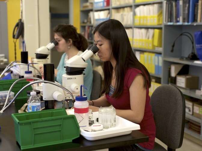 Researchers with the Natural History Museum of Los Angeles County's BioSCAN program