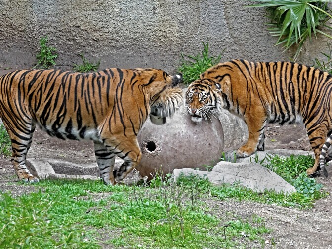 Indah and C.J. test the waters as they get to know each other. 
