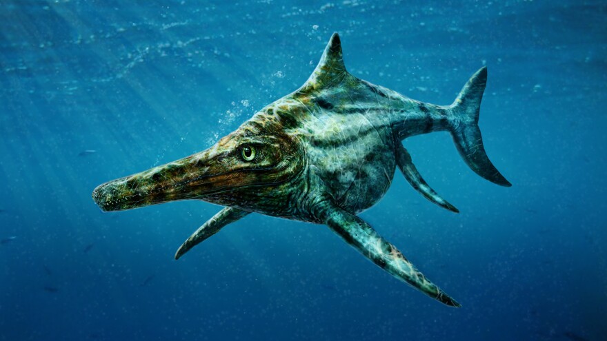 An artist's rendering of what <em>Dearcmhara shawcrossi</em> probably looked like in dinosaur times.