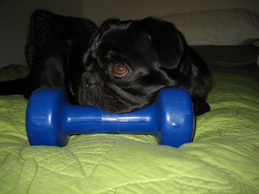cheap workout.jpg