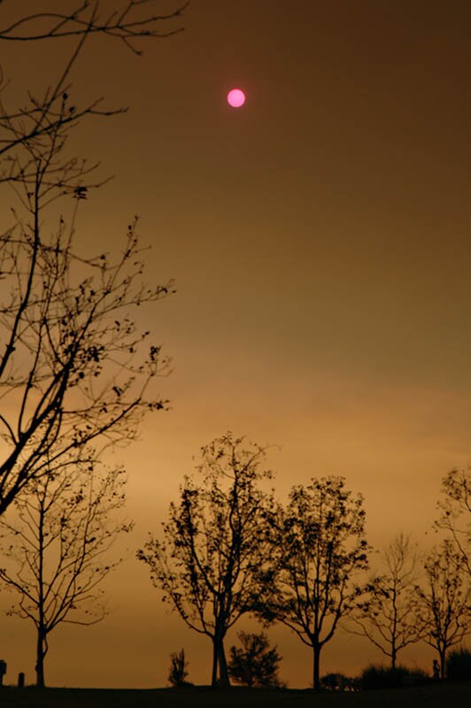 5b2c64bb4488b30009284804-original.jpg