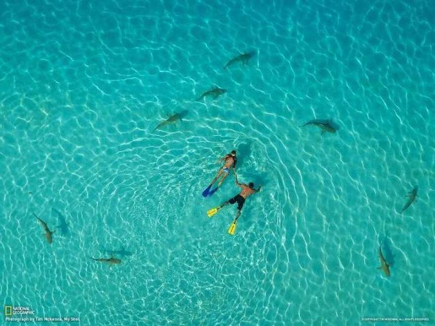 natgeotraveler1.jpg