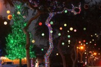 Shimmering balls of light hang from trees on a dark night. String lights are also wrapped around one tree. 