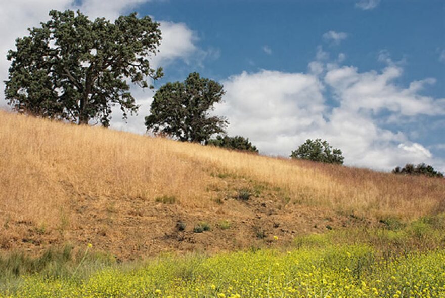malibu_creek_state_park.jpg
