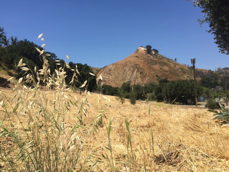 Wild Walnut Park in Calabasas on June 19, 2017.