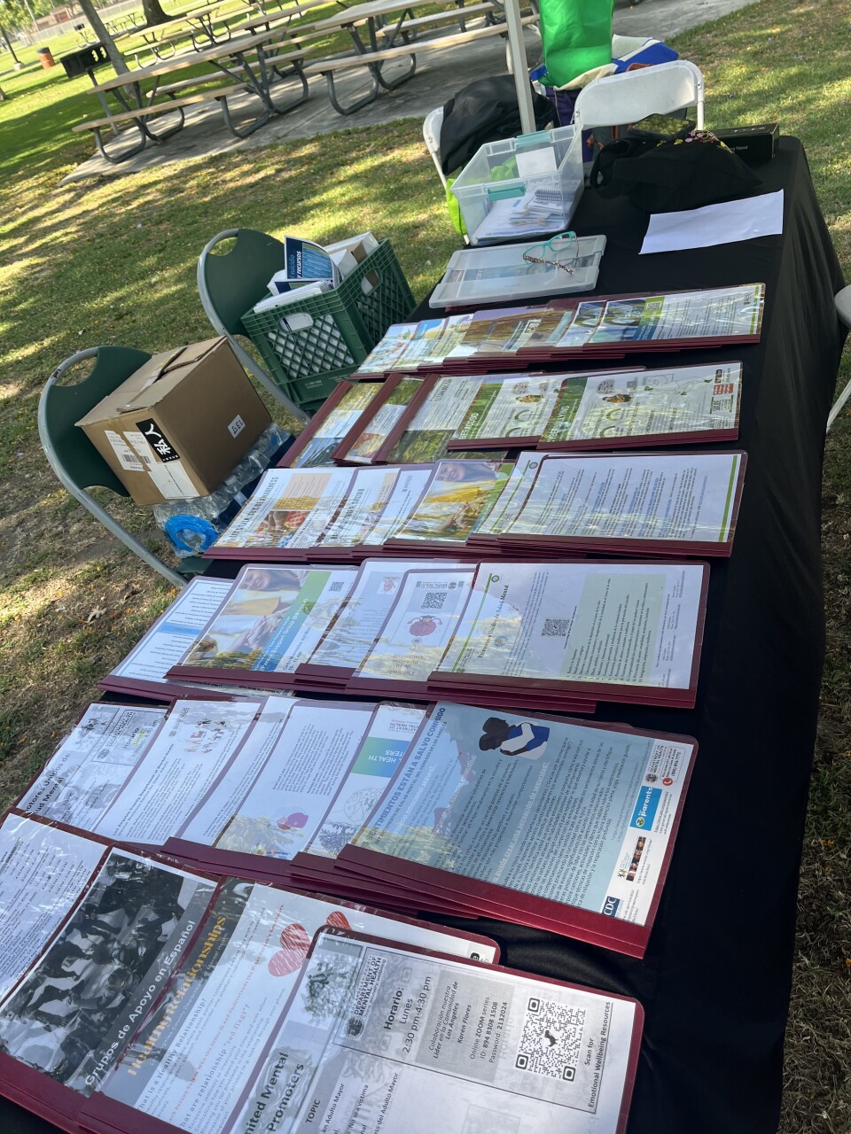 A closeup of stacks of fliers, pamphlets and other resources available at a local park.