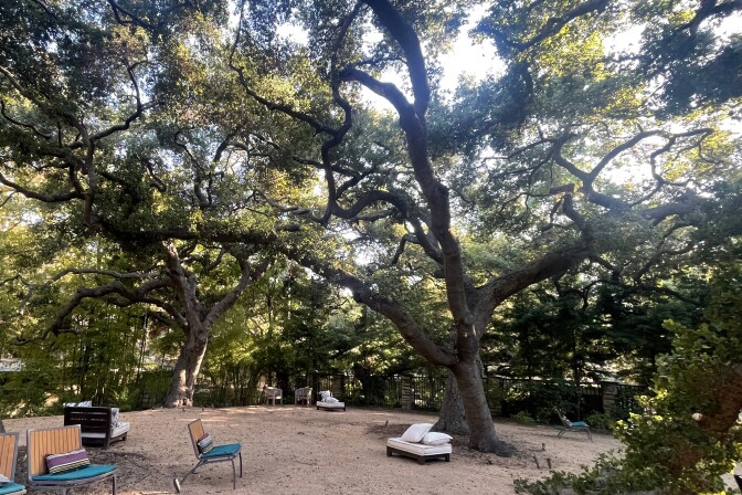 Oak trees over a property.
