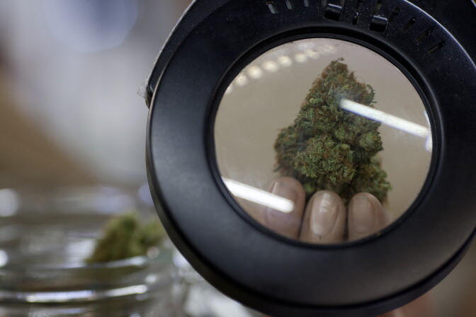 The California Heritage Market held the first-ever medical marijuana farmers market in Boyle Heights. The goal of the event was to connect producers with patients. The collective expects to host the farmers market each weekend.
