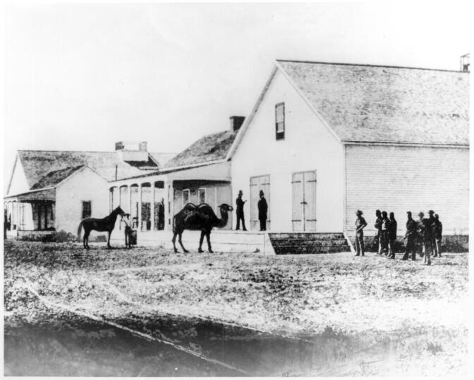 A black and white view of the U.S. Army Headquarters at Wilmington. The wooden building has large doors. In front of the building is a camel with two humps, a person holding the reins of a horse and a group of people standing in the front yard.