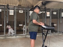 A boy in a green t-shirt and blue gym shorts is playing a black and white keyboard in front of several metal kennels. At least three dogs can be seen behind the bars in the kennels. 