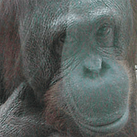 5b2c01df4488b3000926e0ba-original.gif