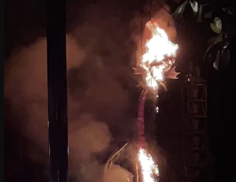Flames are visible at the top and center of a massive animatronic dragon