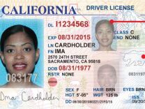California Department of Motor Vehicles unveiled the newly-designed driver license, Oct. 5, 2010.
