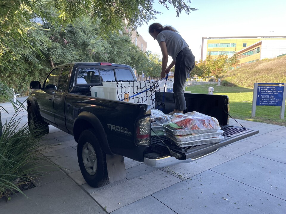 A woman prepares a truck for departure which carries trays of food wrapped in plastic. 