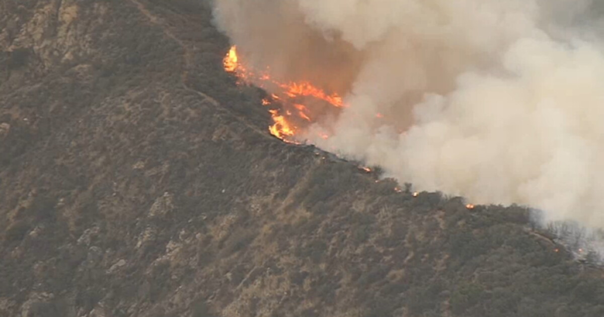 Precautionary evacuations after brush fire breaks out above Los Angeles ...