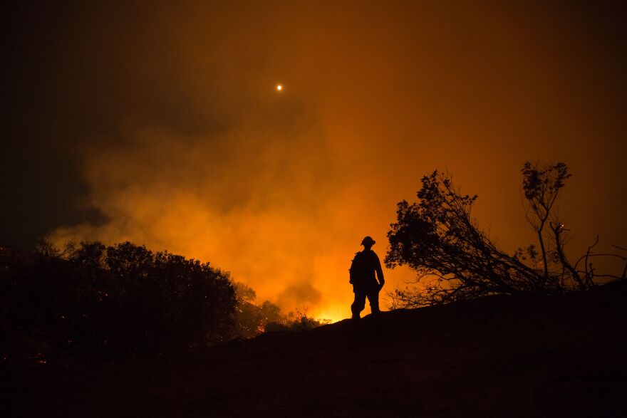 A firefighter looks over a flaming canyon, June 17, 2016 at the Sherpa Fire near Santa Barbara,California.
A fire in the Los Padres National Forest had expanded to two square miles (five square kilometers) by Thursday, making it the "largest since 2009" in the area, a spokesman for the Santa Barbara County Information Center told AFP.  / AFP / DAVID MCNEW        (Photo credit should read DAVID MCNEW/AFP/Getty Images)
